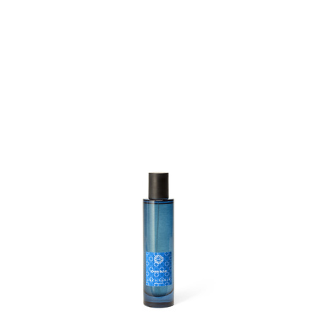 Perfumy w sprayu do wnętrz - 100 ml - Locherber Milano |Capri Blue