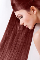 Farba do włosów SANOTINT CLASSIC – 24 MIEDŹ Z WIŚNIĄ - Farba na bazie naturalnych składników