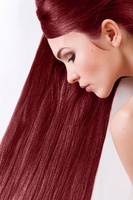 Farba do włosów SANOTINT CLASSIC – 22 BORDO - Farba na bazie naturalnych składników